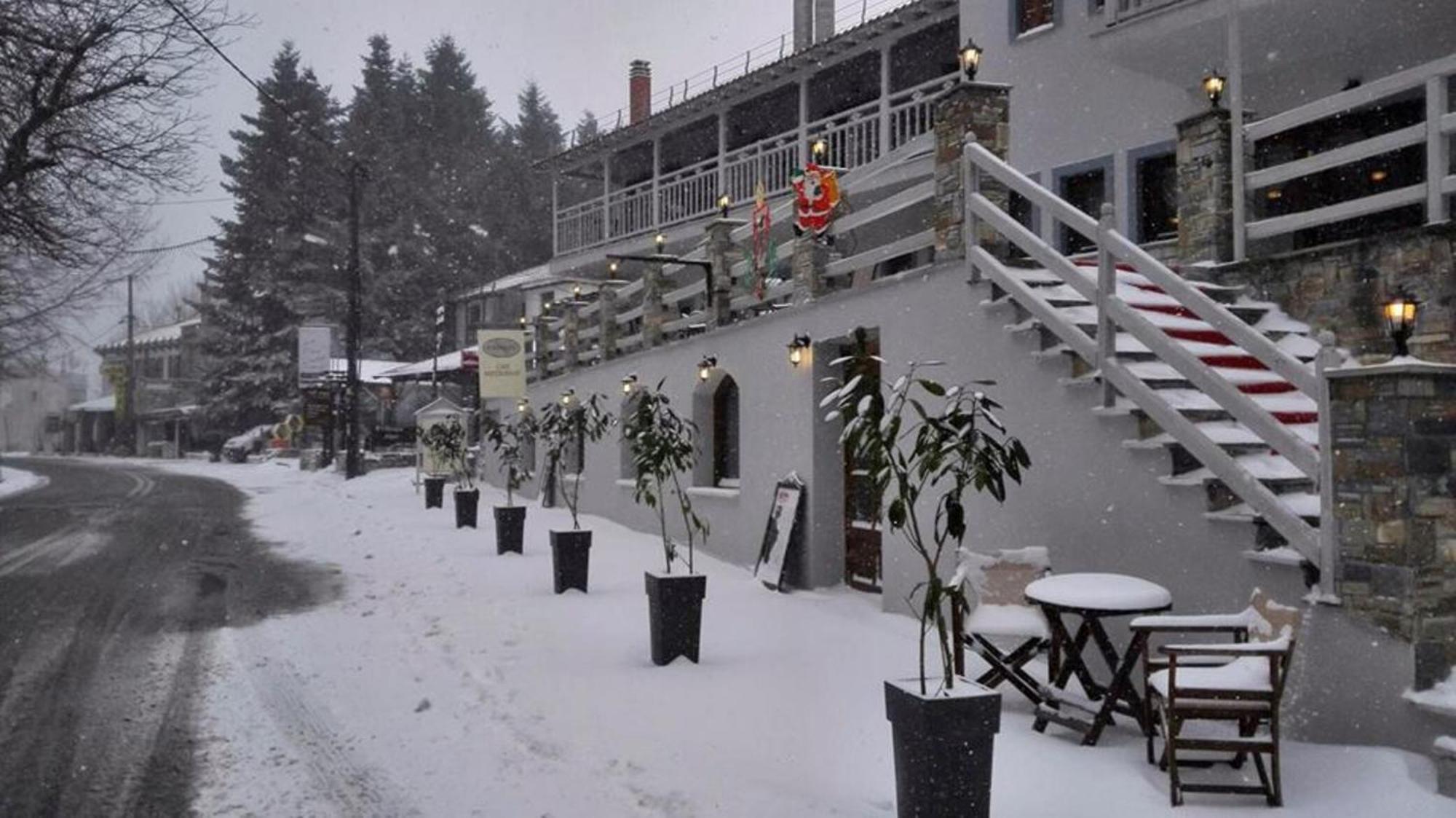 Anamar Pilio Resort Pelion Eksteriør billede